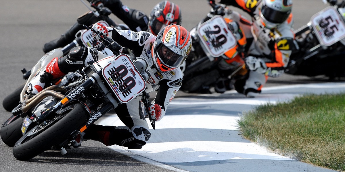 McWilliams To Wildcard in Harley-Davidson Races
