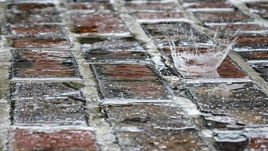 Rain on Yard of Bricks