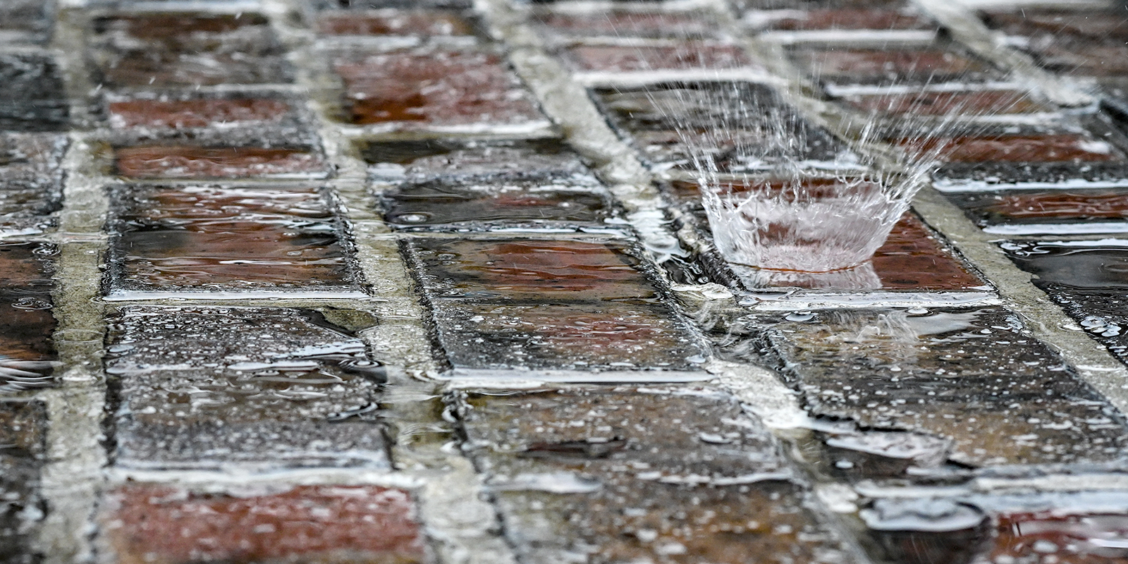Rain on Yard of Bricks
