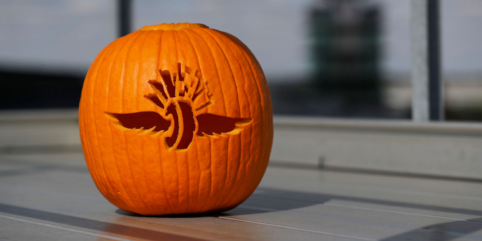 halloween pumpkin template