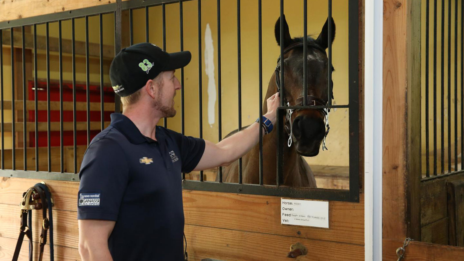 A driver pets a horse