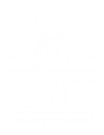 Indy Women in Tech Championship